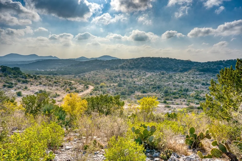 HWY 55 LOT 1,19 Uvalde, TX 78801