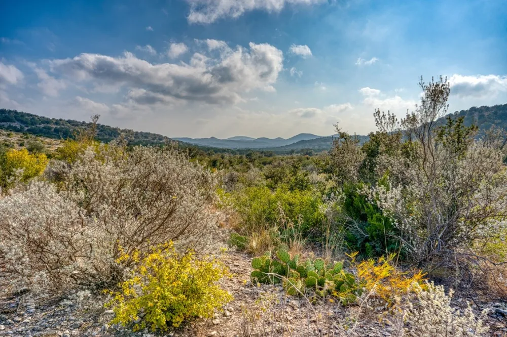 HWY 55 LOT 1,19 Uvalde, TX 78801