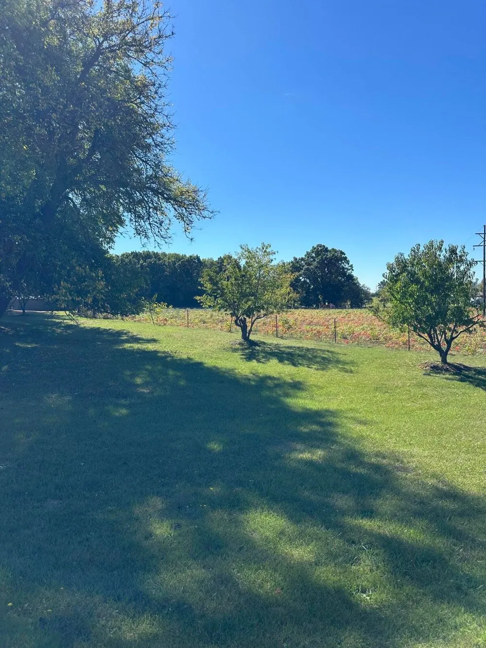 Pierce Road #Parcel 3