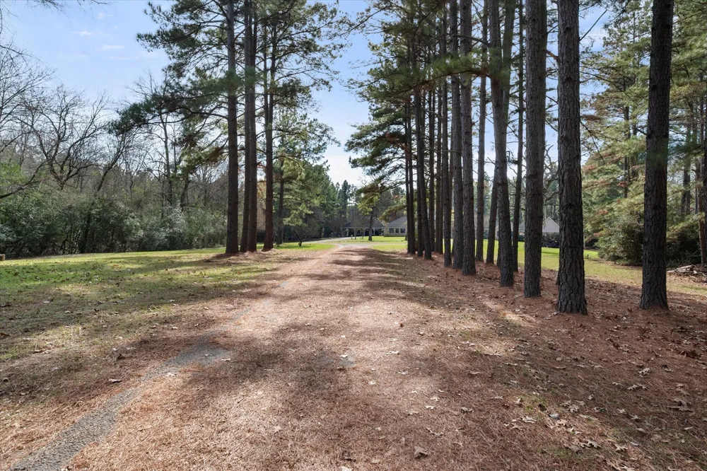 6951 E County Road 315 Buffalo, TX 75831