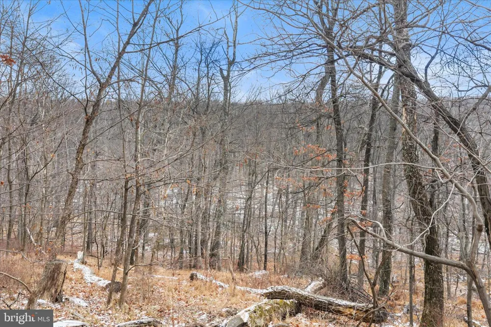 448 MAVERICK TRAIL Hedgesville, WV 25427