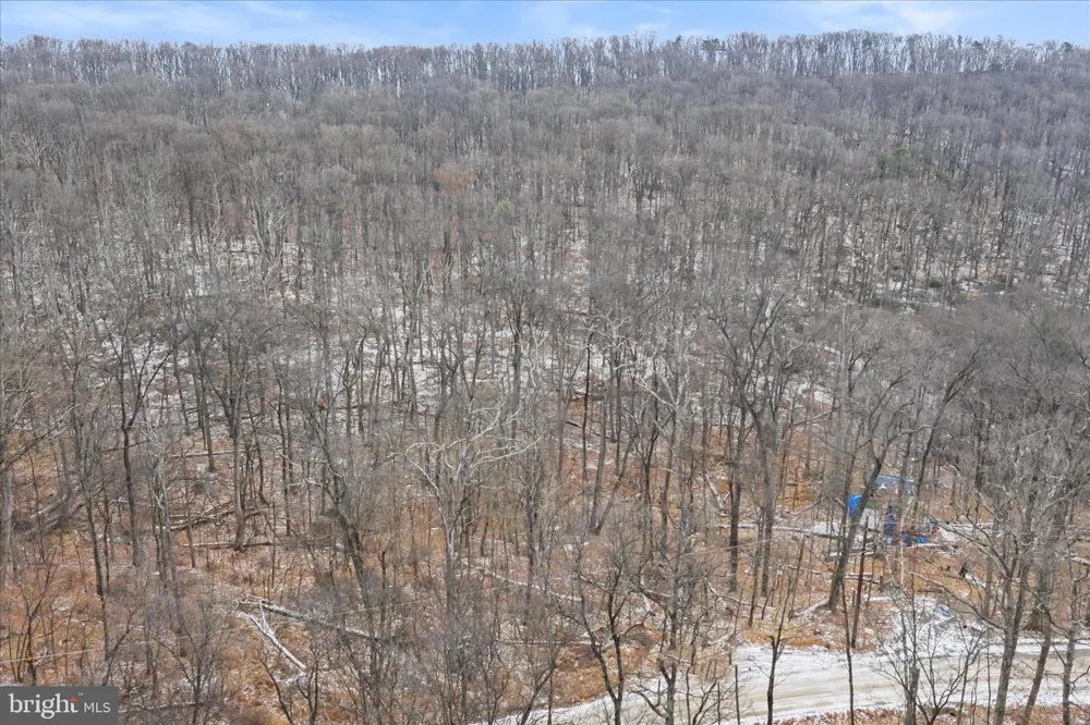 448 MAVERICK TRAIL Hedgesville, WV 25427
