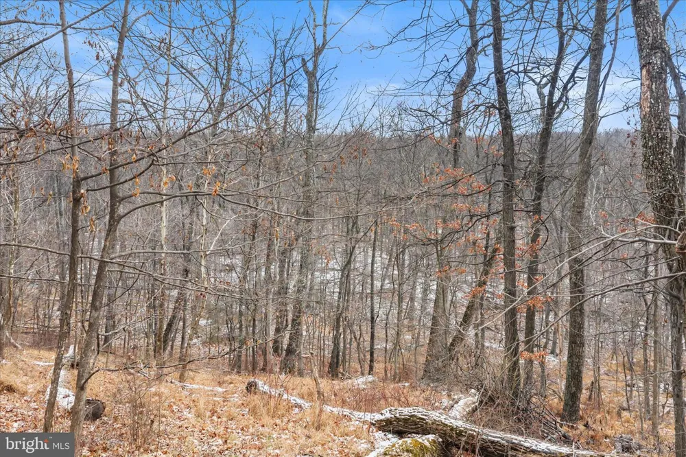 448 MAVERICK TRAIL Hedgesville, WV 25427