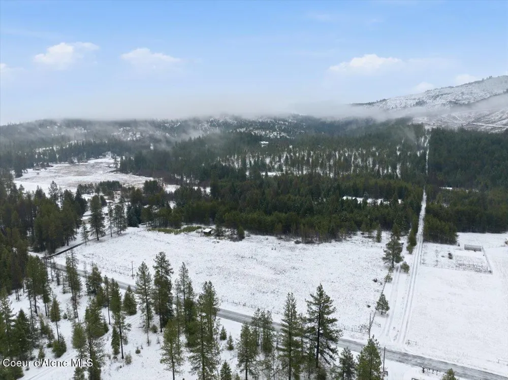 2495 Hoo Doo Loop Oldtown, ID 83822