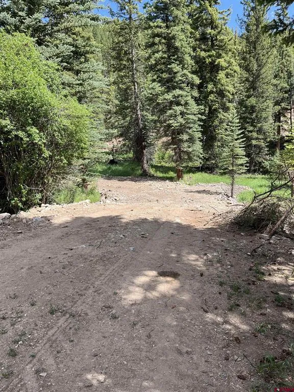 11th Street Pitkin, CO 81241