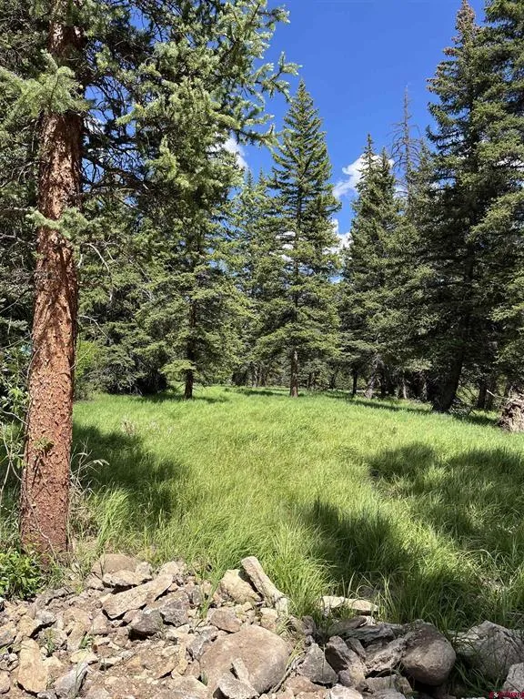 11th Street Pitkin, CO 81241