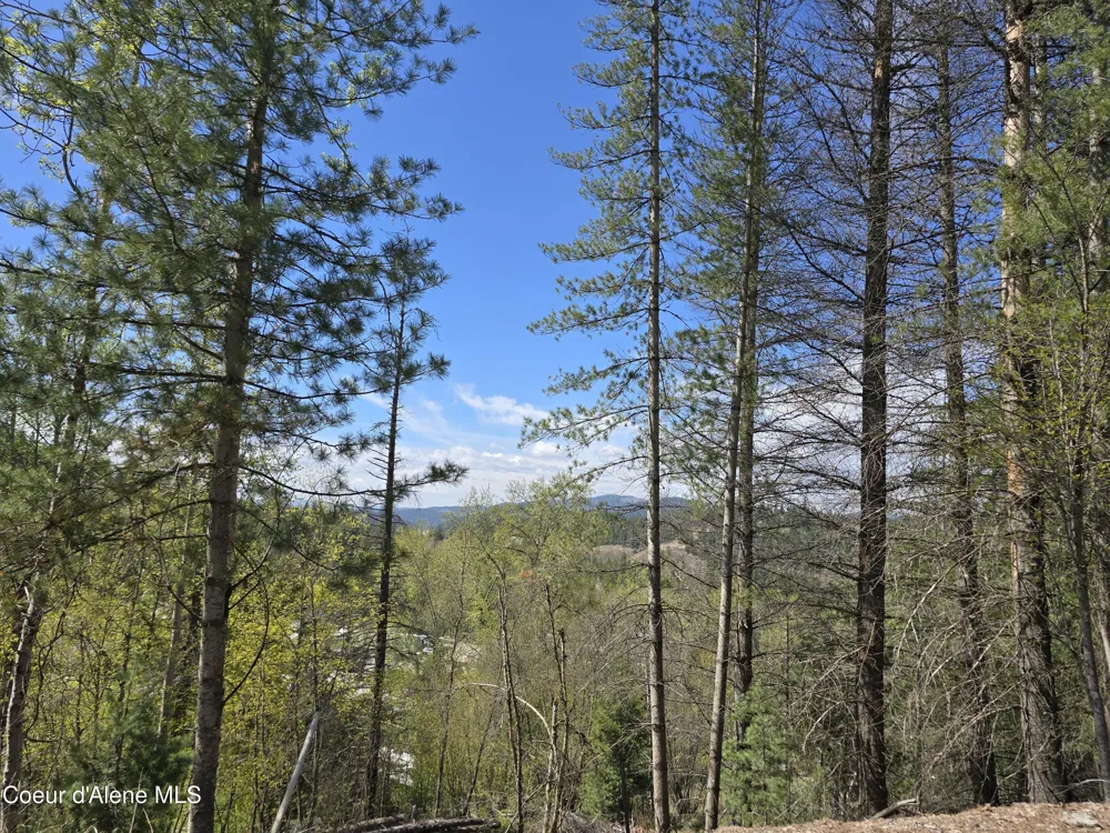 821 Lower Page Road Smelterville, ID 83868