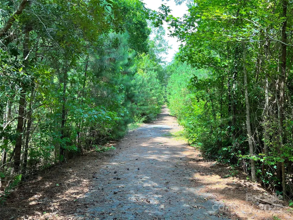 Lot 7 & 8 SC Hwy 215 South Fairfield, SC 29065