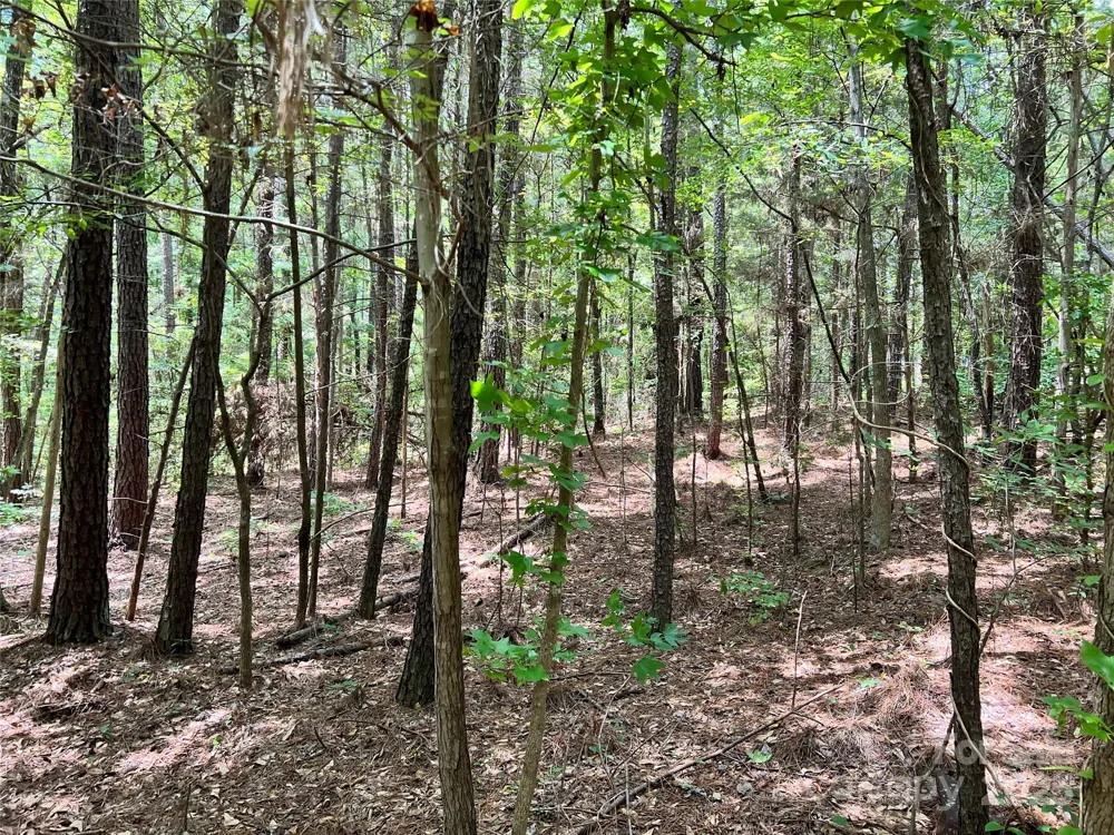 Lot 7 & 8 SC Hwy 215 South Fairfield, SC 29065
