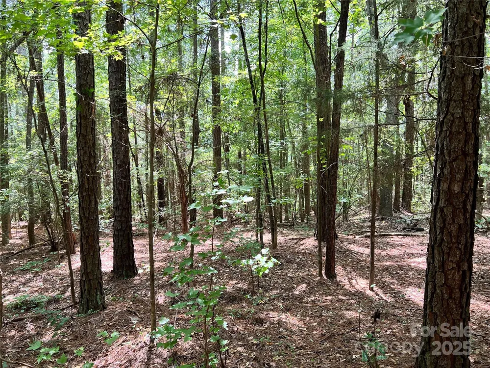 Lot 7 & 8 SC Hwy 215 South Fairfield, SC 29065