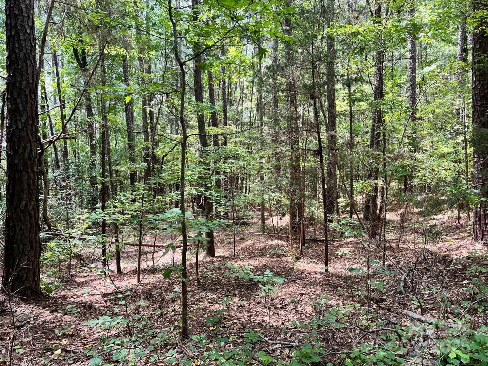 Lot 7 & 8 SC Hwy 215 South Fairfield, SC 29065