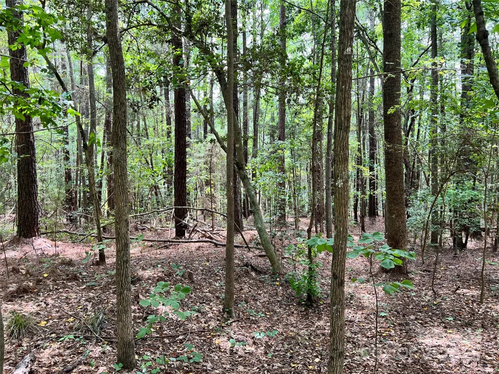 Lot 7 & 8 SC Hwy 215 South Fairfield, SC 29065