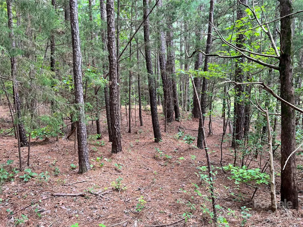 Lot 7 & 8 SC Hwy 215 South Fairfield, SC 29065