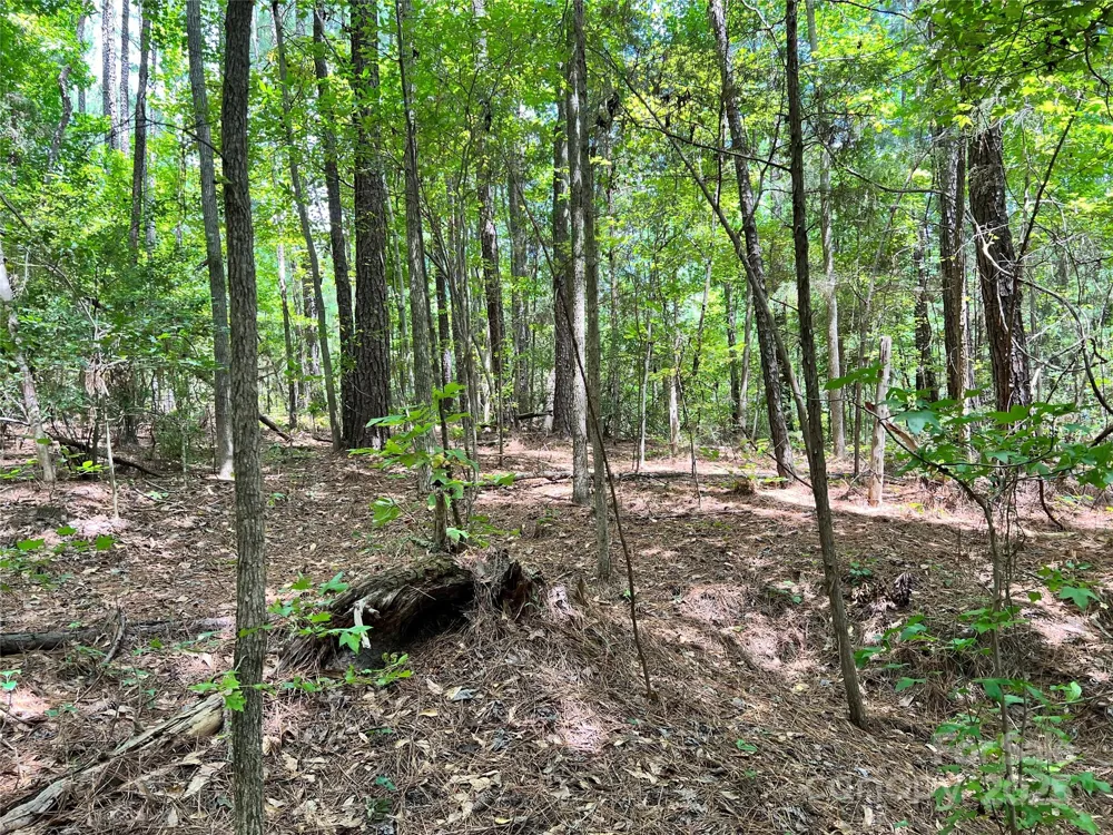 Lot 7 & 8 SC Hwy 215 South Fairfield, SC 29065