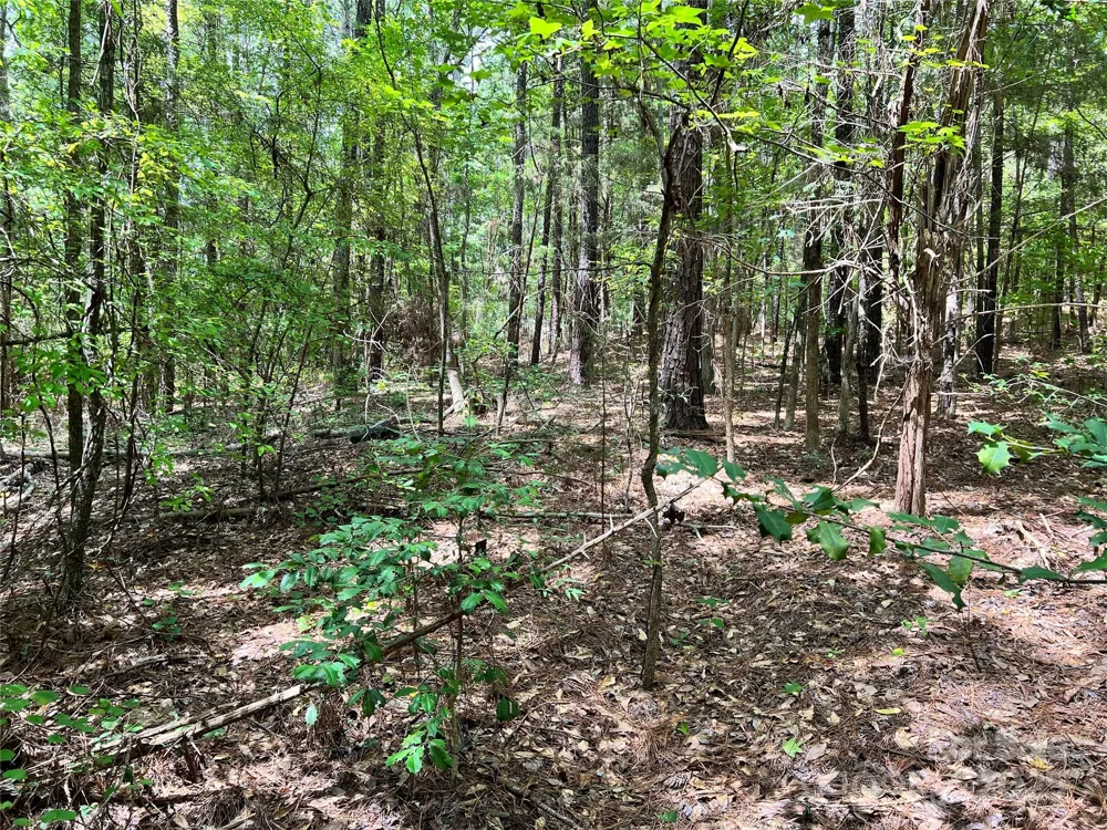 Lot 7 & 8 SC Hwy 215 South Fairfield, SC 29065