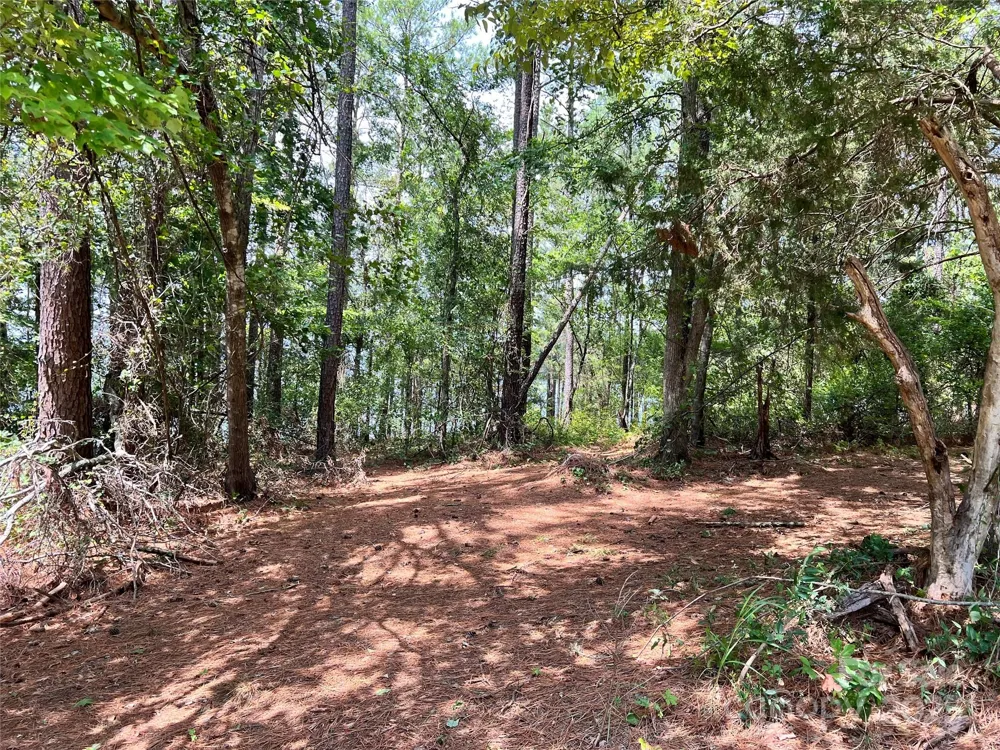 Lot 7 & 8 SC Hwy 215 South Fairfield, SC 29065