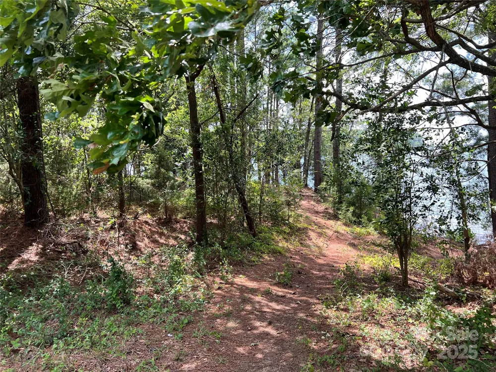 Lot 7 & 8 SC Hwy 215 South Fairfield, SC 29065
