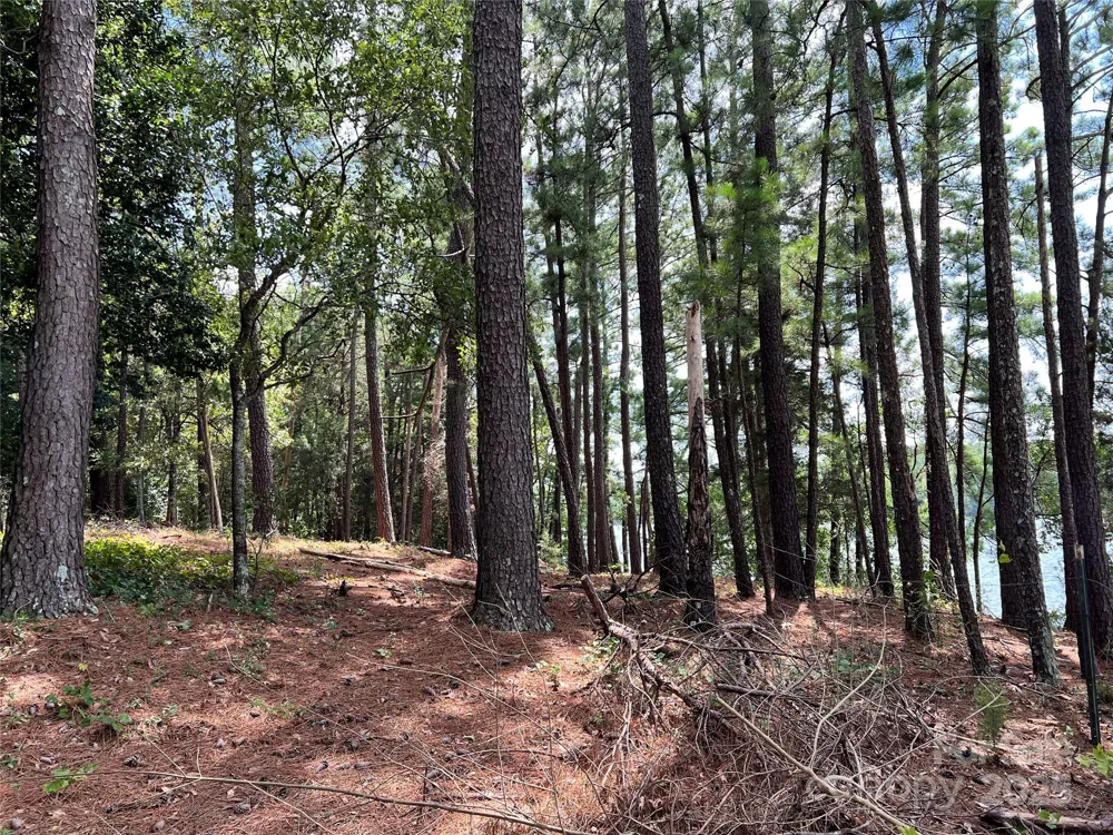 Lot 7 & 8 SC Hwy 215 South Fairfield, SC 29065