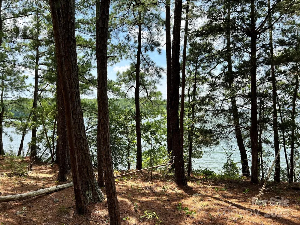Lot 7 & 8 SC Hwy 215 South Fairfield, SC 29065