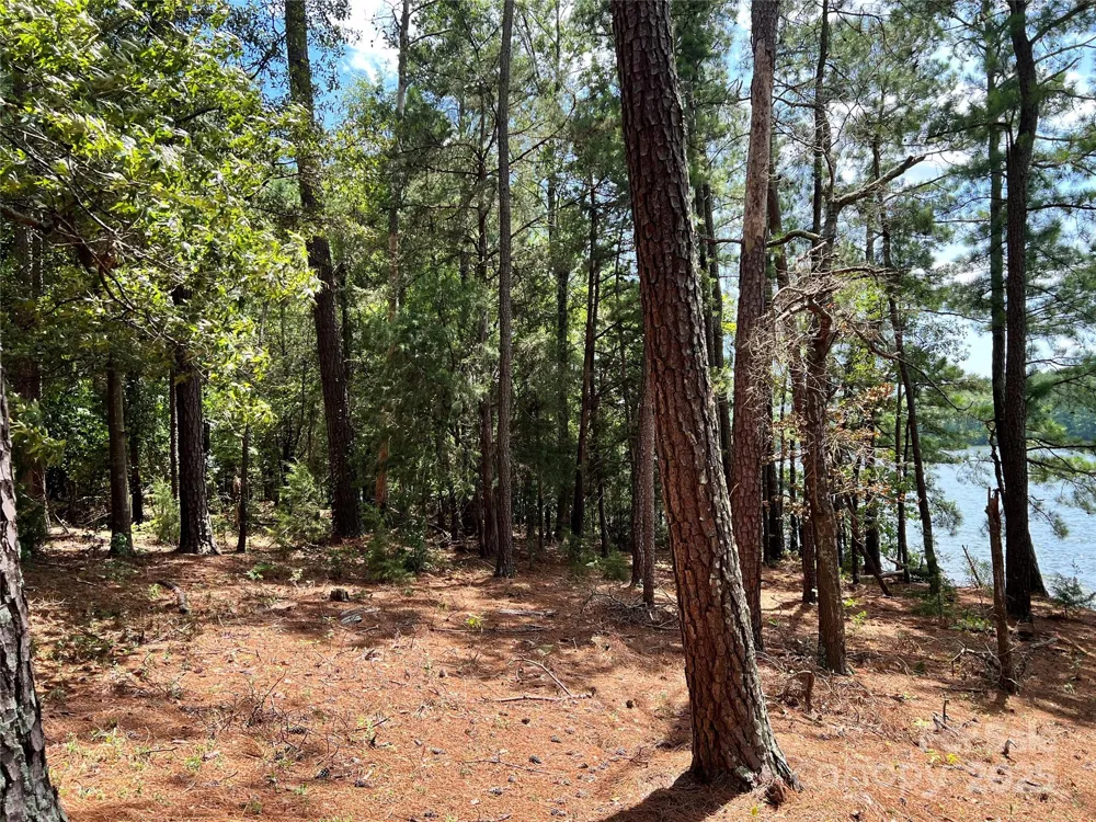 Lot 7 & 8 SC Hwy 215 South Fairfield, SC 29065