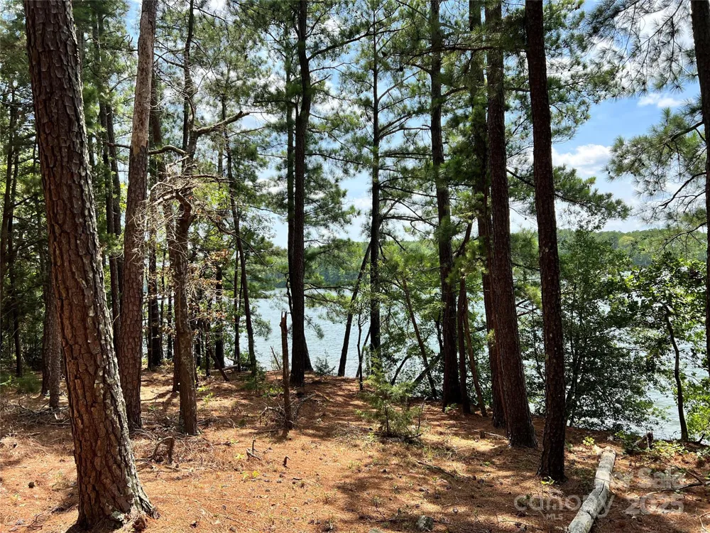 Lot 7 & 8 SC Hwy 215 South Fairfield, SC 29065