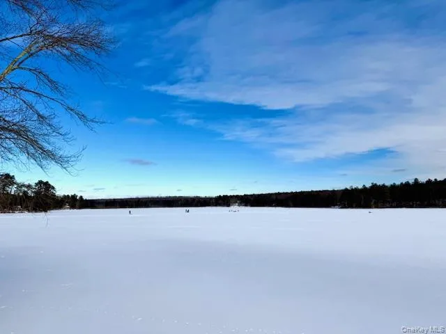 195 W Mohican Trail Glen Spey, NY 12737