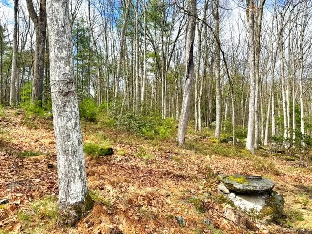 195 W Mohican Trail Glen Spey, NY 12737