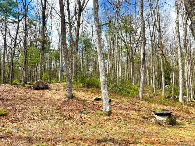 195 W Mohican Trail Glen Spey, NY 12737