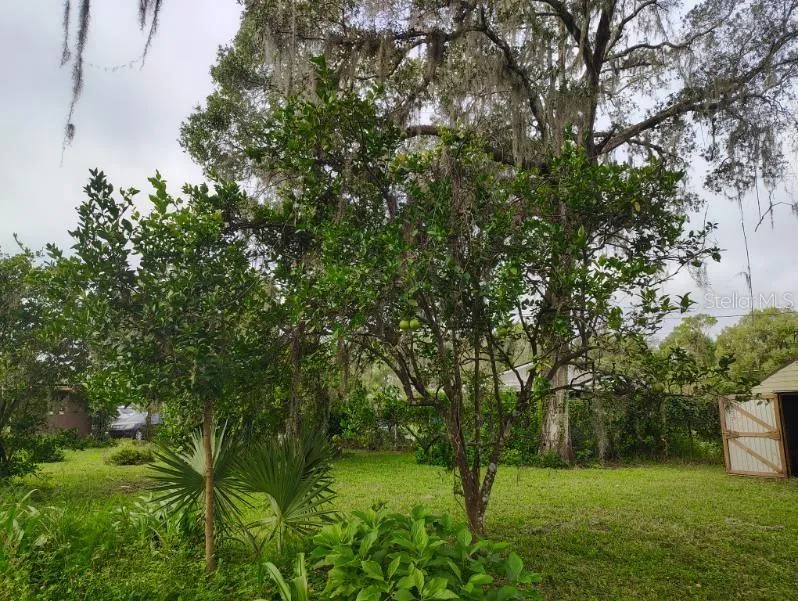 20621 SE HIGHWAY 42 Umatilla, FL 32784