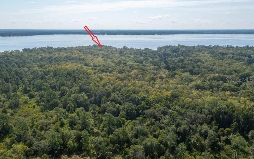 254 ST JOHNS DRIVE Palatka, FL 32177