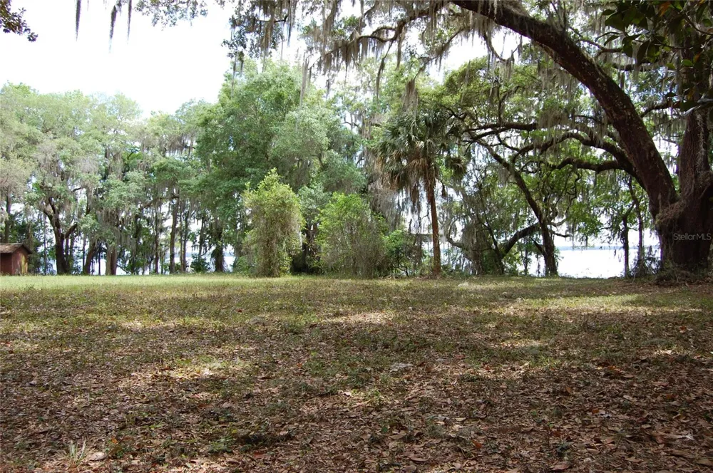 254 ST JOHNS DRIVE Palatka, FL 32177
