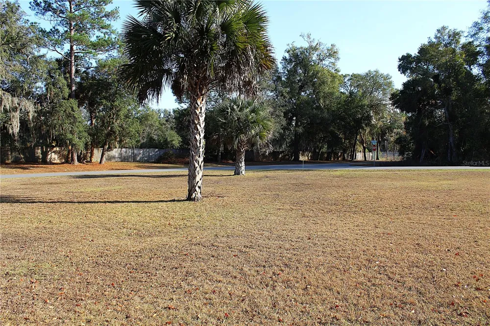 NE 6TH PLACE Silver Springs, FL 34488
