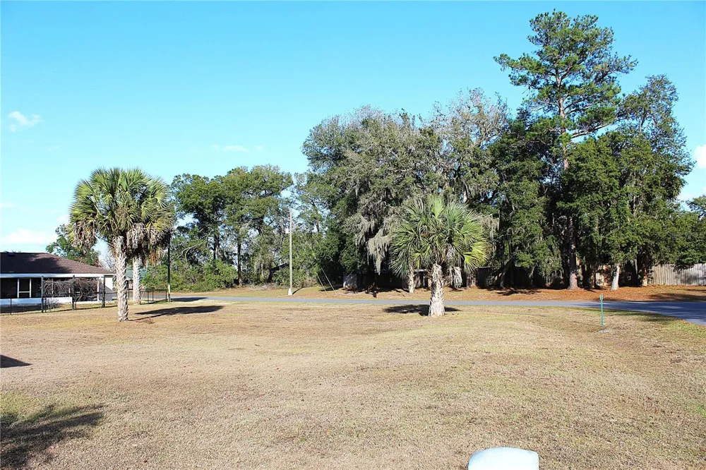 NE 6TH PLACE Silver Springs, FL 34488