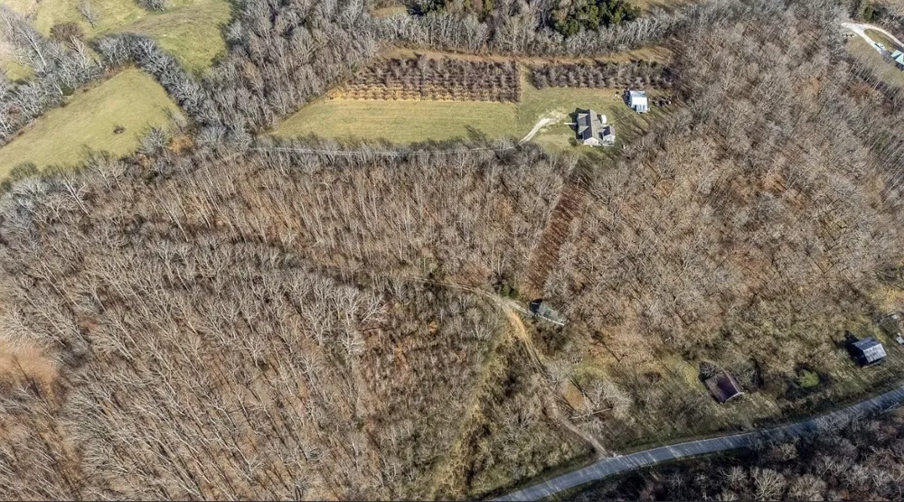 390 Paradise Ln Mulberry, TN 37359