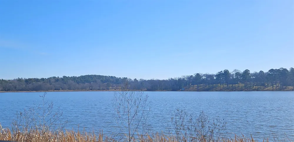 13311 White Tail Drive #1 Tyler, TX 75707