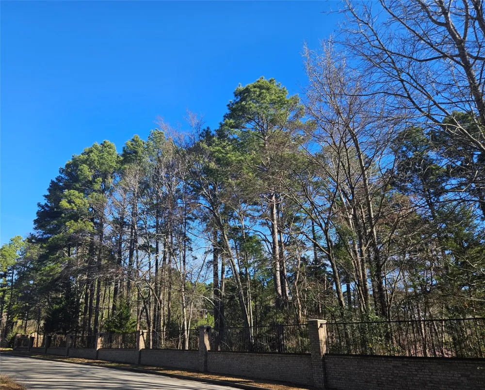 13311 White Tail Drive #1 Tyler, TX 75707