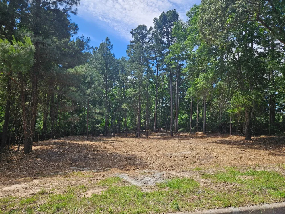 13311 White Tail Drive #1 Tyler, TX 75707