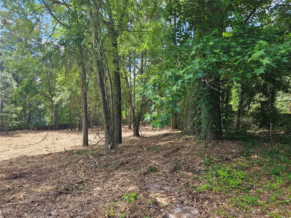 13311 White Tail Drive #1 Tyler, TX 75707