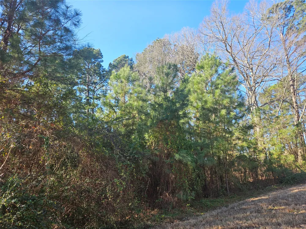 13311 White Tail Drive #1 Tyler, TX 75707