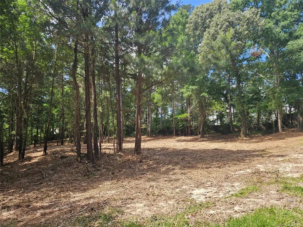 13311 White Tail Drive #1 Tyler, TX 75707