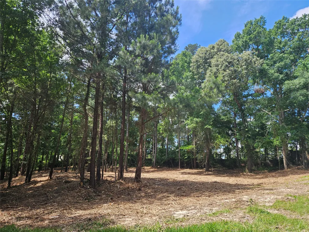 13311 White Tail Drive #1 Tyler, TX 75707