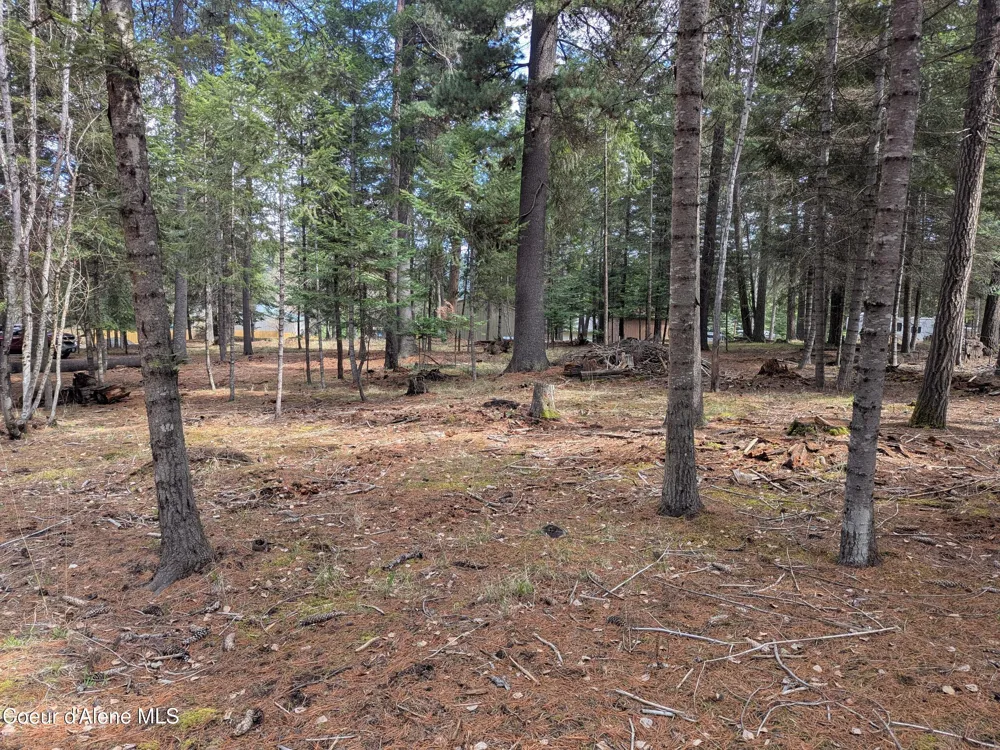 NNA W Florida Lot 4 Circle Worley, ID 83876