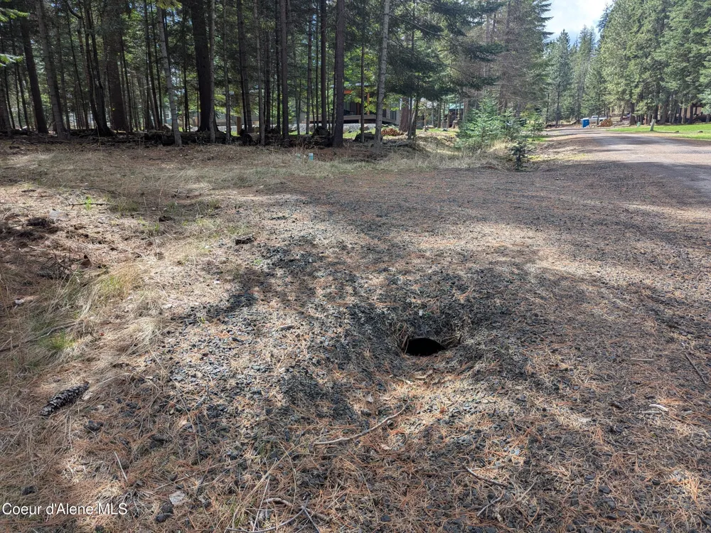 NNA W Florida Lot 4 Circle Worley, ID 83876