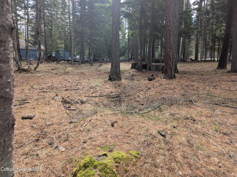 NNA W Florida Lot 4 Circle Worley, ID 83876