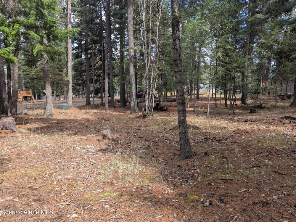 NNA W Florida Lot 4 Circle Worley, ID 83876