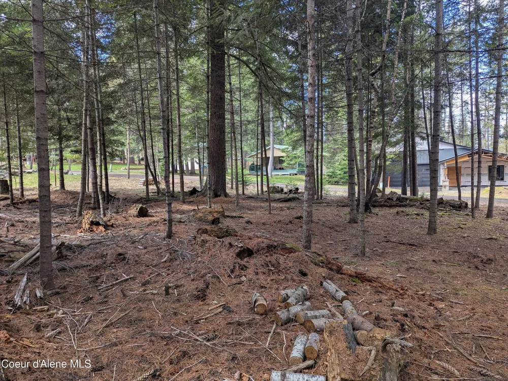 NNA W Florida Lot 4 Circle Worley, ID 83876