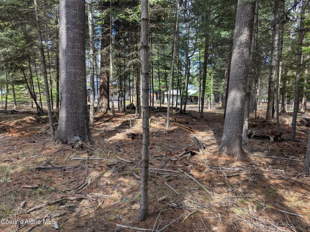 NNA W Florida Lot 4 Circle Worley, ID 83876