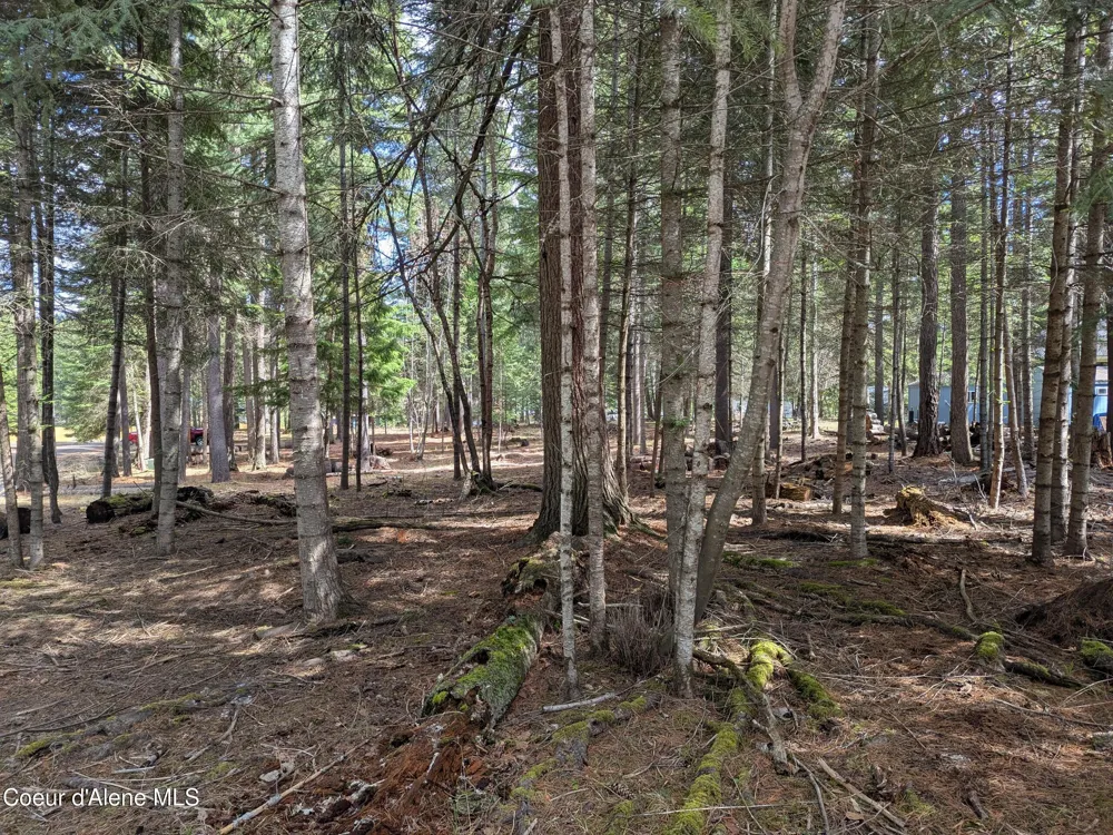 NNA W Florida Lot 4 Circle Worley, ID 83876