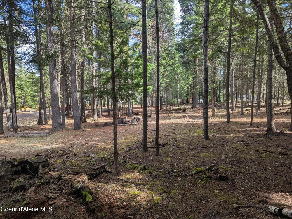 NNA W Florida Lot 4 Circle Worley, ID 83876