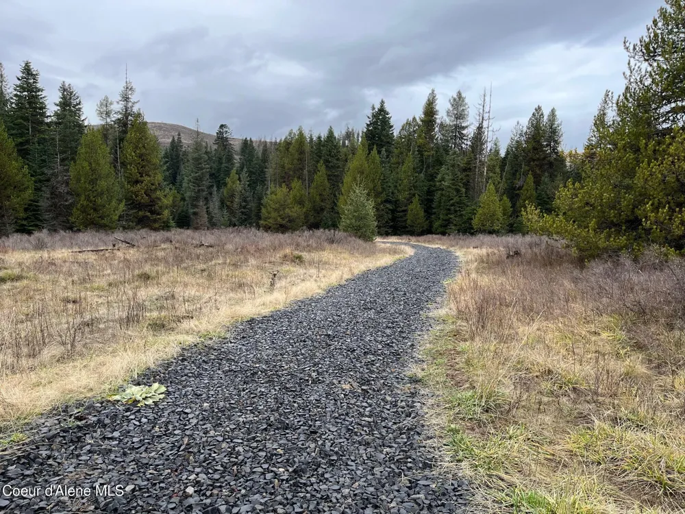 Tyson Creek Rd Santa, ID 83866